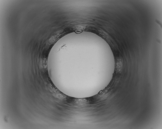 X0000099430525200805231656