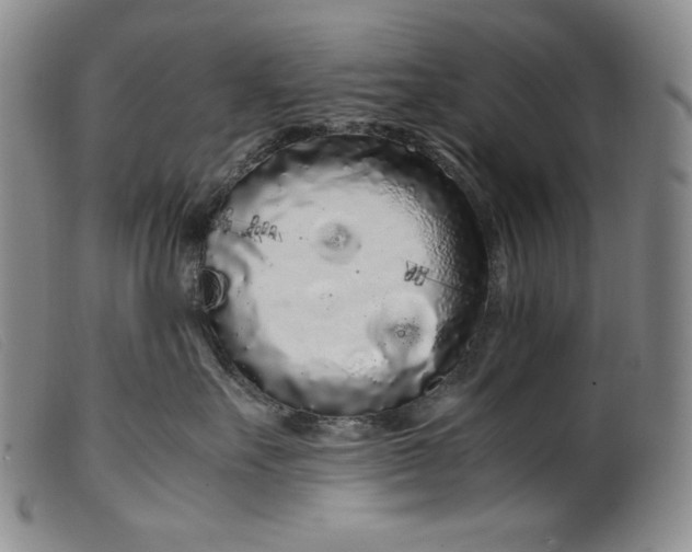 X0000099430527200805231656