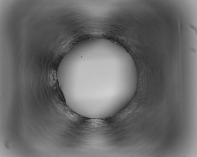 X0000099430528200805231656