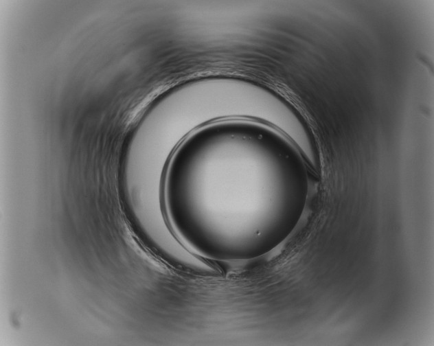 X0000099430530200805231655