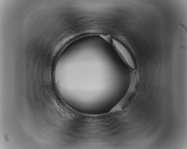X0000099430531200805231655