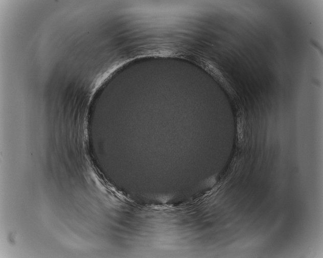 X0000099430532200805231655