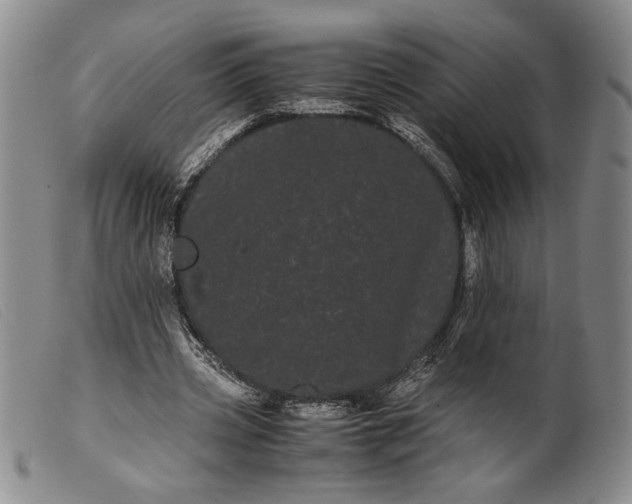 X0000099430533200805231655