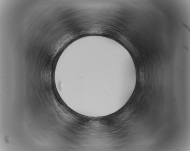 X0000099430534200805231655