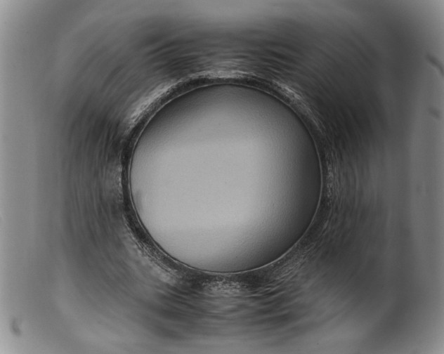 X0000099430535200805231655