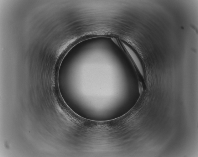 X0000099430536200805231655