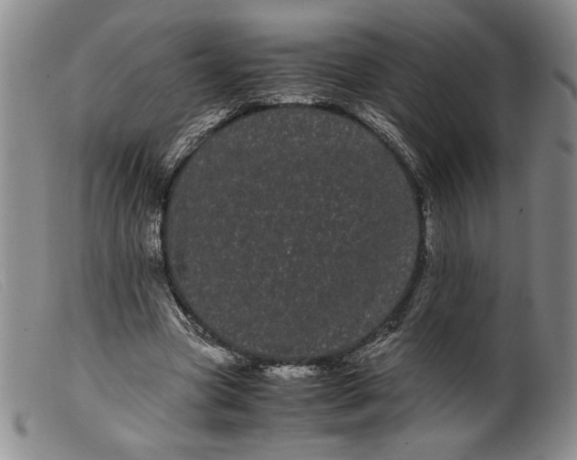 X0000099430537200805231655