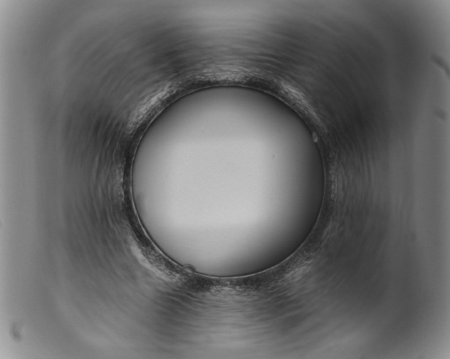 X0000099430538200805231655