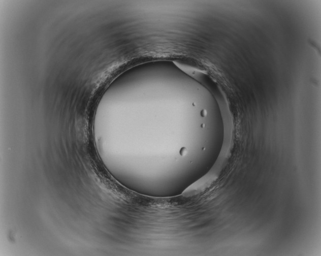 X0000099430540200805231655