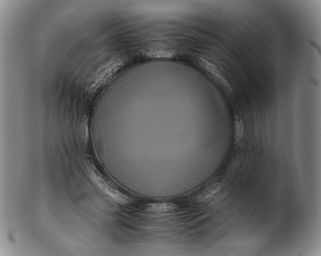 X0000099430541200805231655
