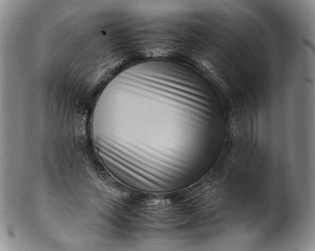 X0000099430543200805231655