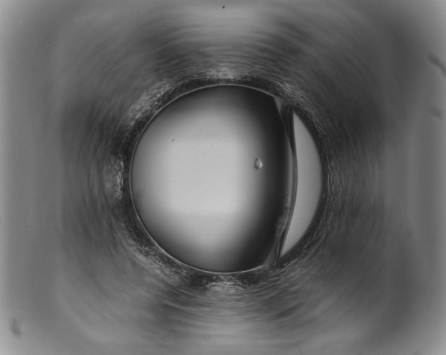 X0000099430544200805231655