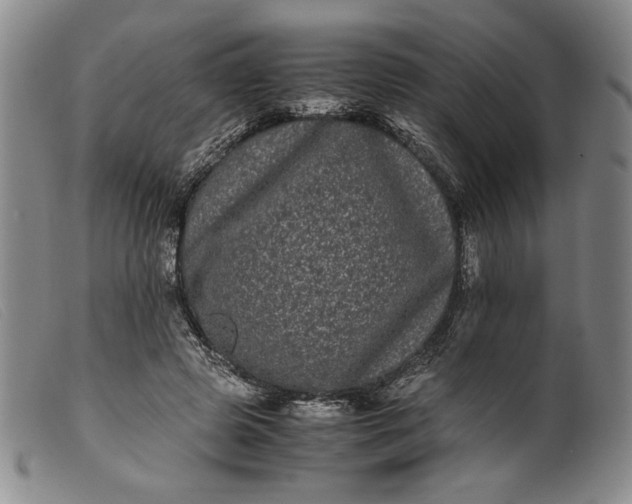 X0000099430545200805231655
