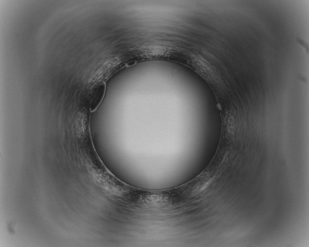 X0000099430546200805231655
