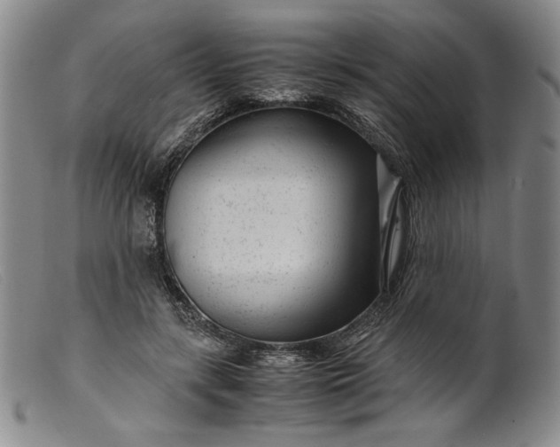 X0000099430547200805231655