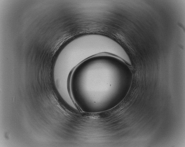 X0000099430548200805231655