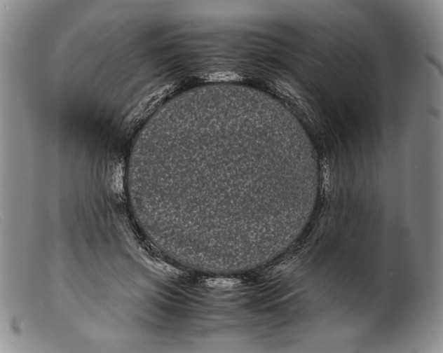 X0000099430549200805231655