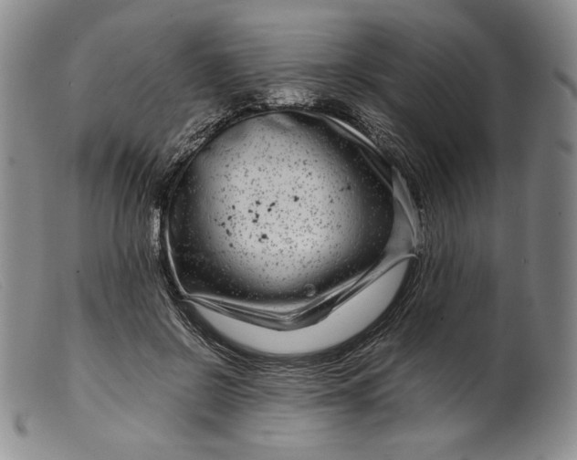X0000099430550200805231655