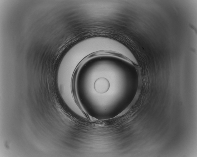 X0000099430552200805231655