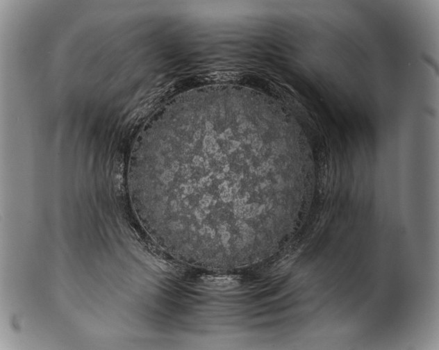 X0000099430553200805231655