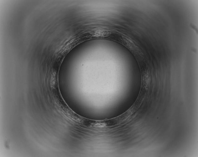 X0000099430554200805231655