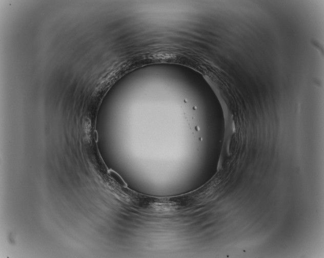 X0000099430556200805231655