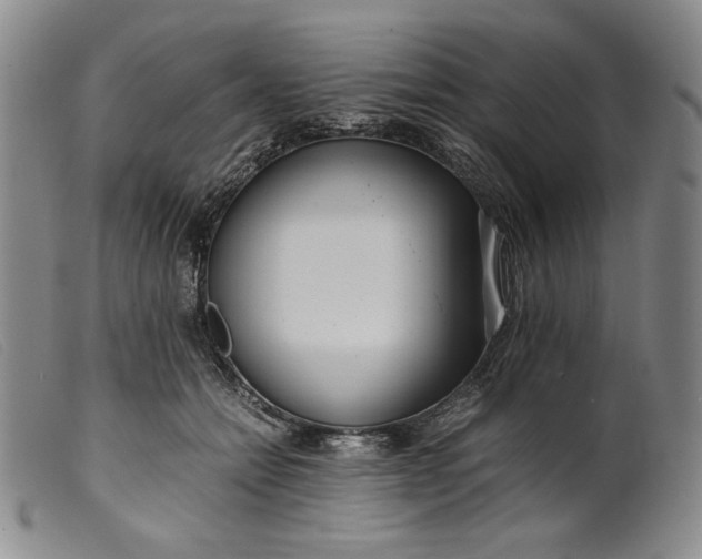 X0000099430558200805231655