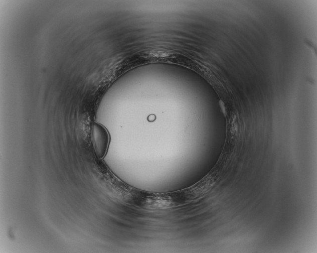 X0000099430559200805231656