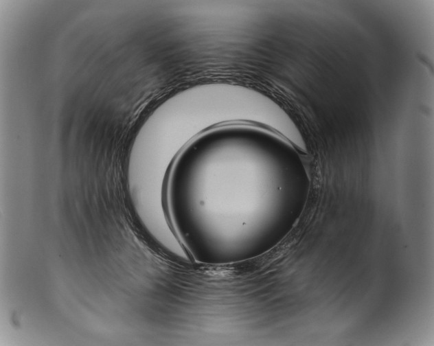 X0000099430560200805231656
