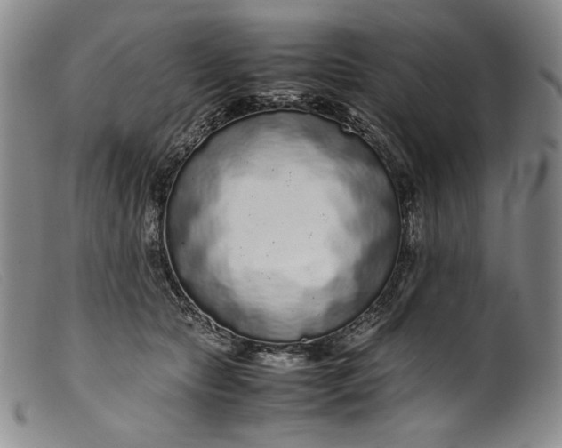 X0000099430561200805231656