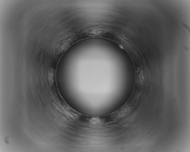 X0000099430562200805231656
