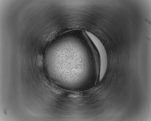 X0000099430563200805231656