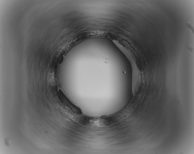 X0000099430564200805231656