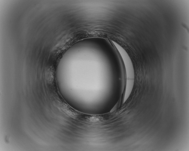 X0000099430566200805231656
