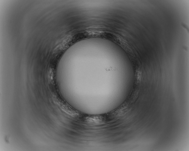 X0000099430567200805231656