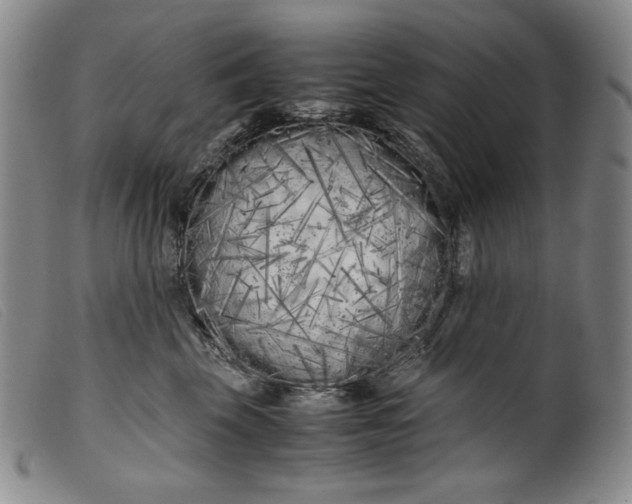 X0000099430569200805231656