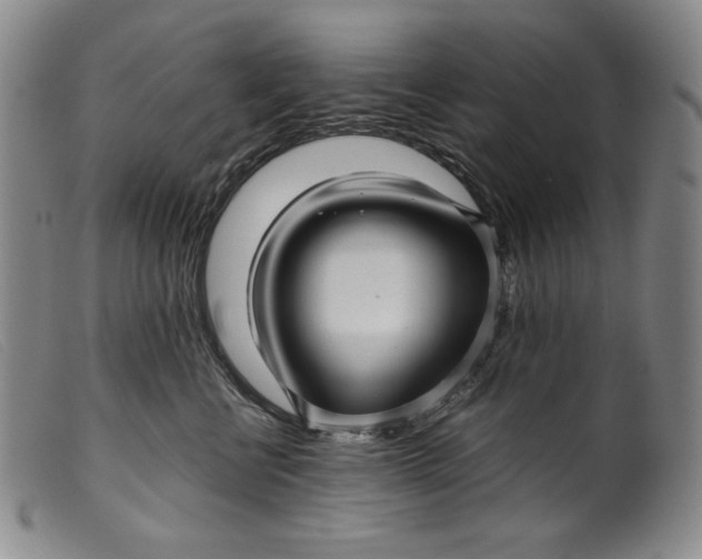 X0000099430570200805231656