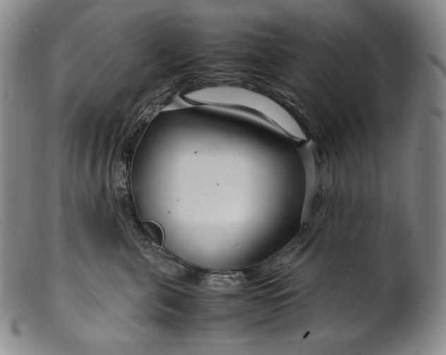 X0000099430571200805231656
