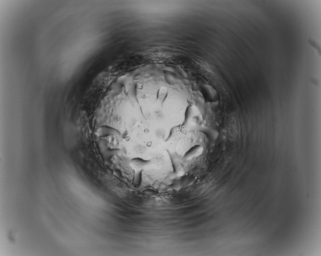 X0000099430573200805231656