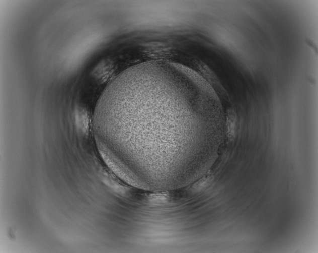 X0000099430574200805231656