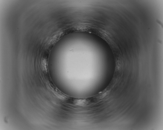 X0000099430575200805231656