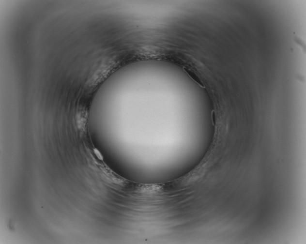 X0000099430576200805231656