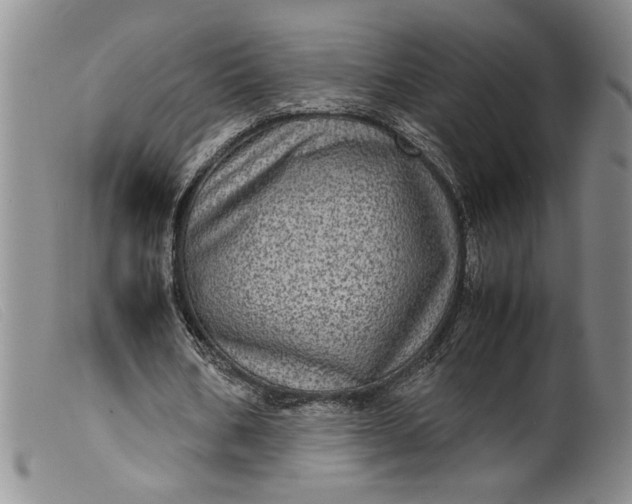 X0000099430578200805231655