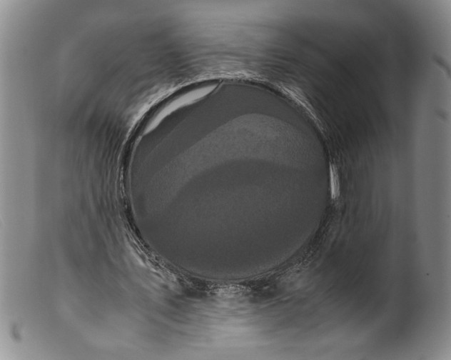 X0000099430579200805231655