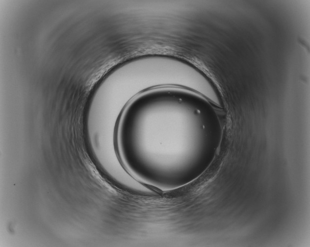X0000099430581200805231655