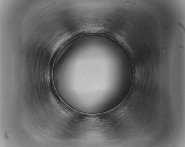 X0000099430582200805231655