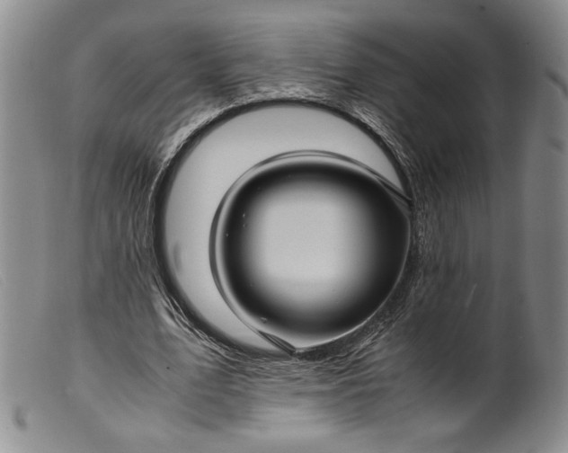 X0000099430583200805231655