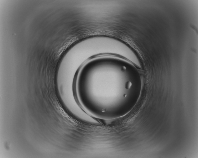 X0000099430585200805231655