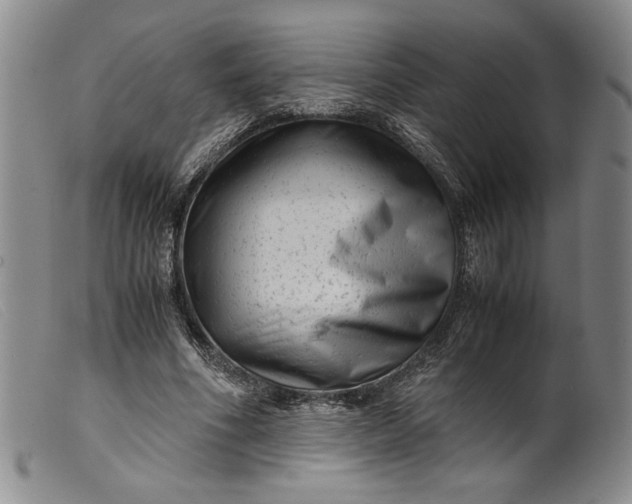 X0000099430586200805231655
