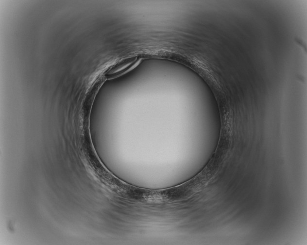 X0000099430587200805231655